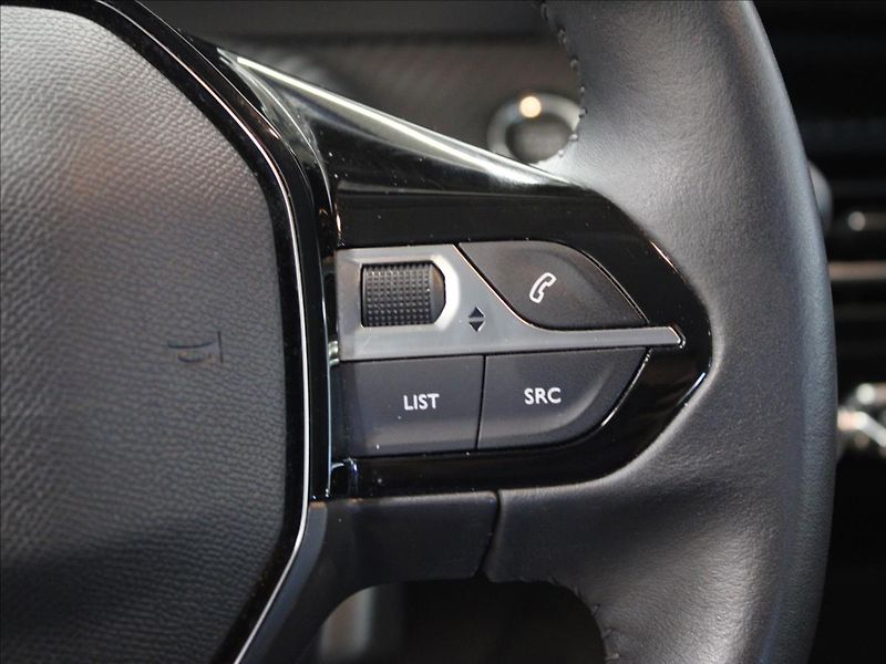 Peugeot 2008 0,0 e-2008 100kw/136hp - fotka 20 z 38