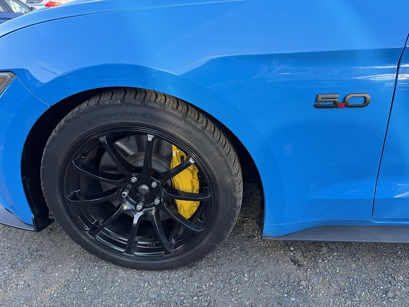 Ford Mustang 5.0 V8 - fotka 19 z 20