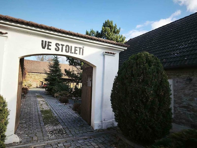 Jako hlavní chod jsme si dali Vídeňskou pečeni za 225 korun.