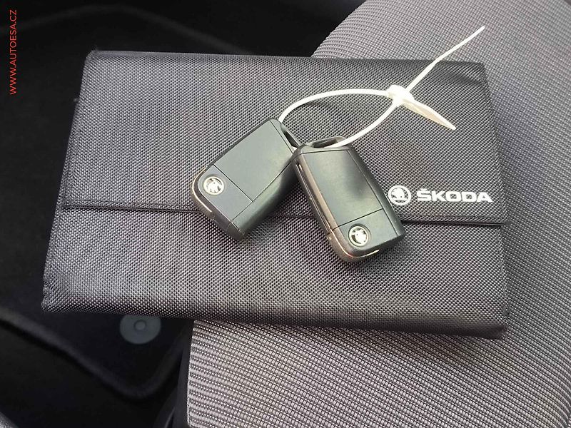 Škoda Octavia (2020) 2.0 TDi, Style, DSG, TZ, - fotka 22 z 22
