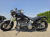 Harley-Davidson FLST Heritage Softail (2002) - náhled 8