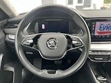 Škoda Octavia (2023) 2.0TDI DSG STYLE NOVÉ ČR - náhled 12