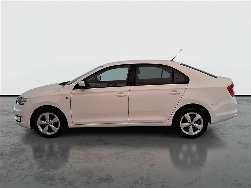 Škoda Rapid (2014) 1.2 TSI, Tempomat - fotka 3 z 13