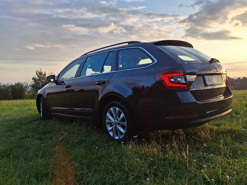Škoda Octavia (2017) - fotka 13 z 19
