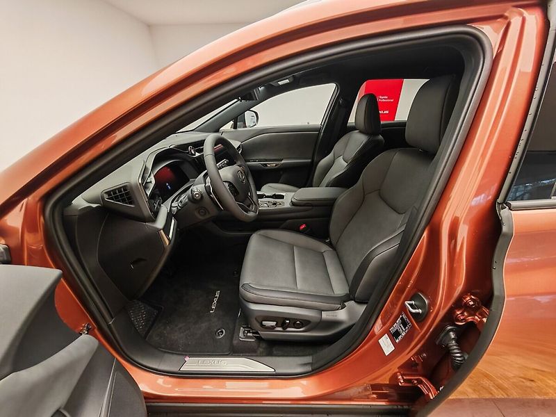 Lexus Ostatní 500e Prestige - fotka 18 z 45