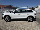 Škoda Kodiaq 2,0 TDi/110kW DSG - Style - náhled 3