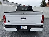 Ford F-150 5,0 V8 298kW - náhled 11