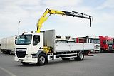 DAF LF (2015) / 250 / SKRZYNIOWY + HDS / HYV - náhled 1