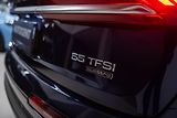 Audi Q7 (2022) S-LINE 55TFSI 250KW 4X4 VZDUCH - náhled 12