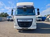 DAF LF 220 FA, HR čelo + boční dveře - náhled 2