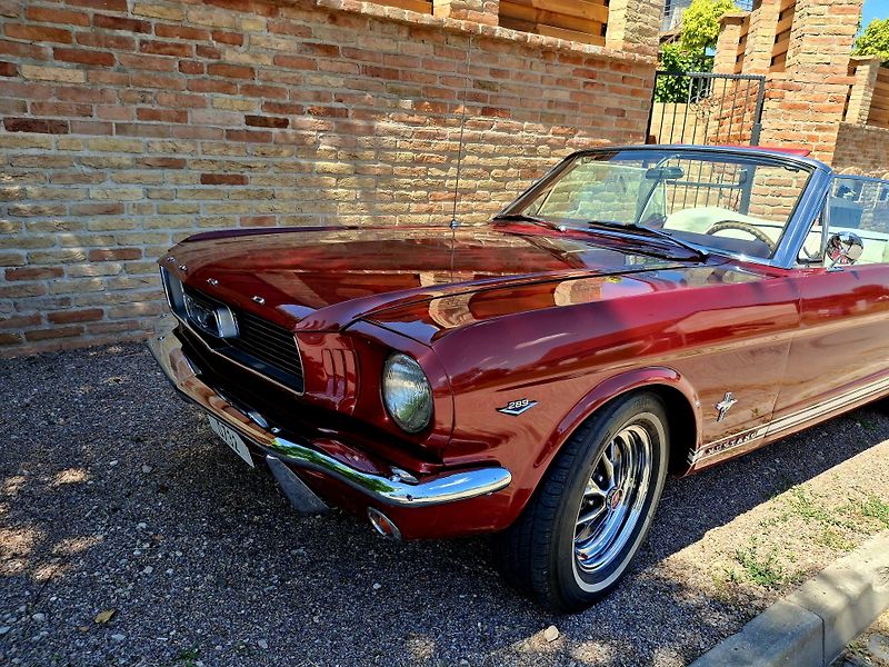 Ford Mustang (1966) Rok výroby 1966, Ford Mustang  - fotka 3 z 10