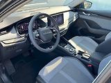 Škoda Octavia (2025) 2.0 TDI 110kW DSG Top Selectio - náhled 6