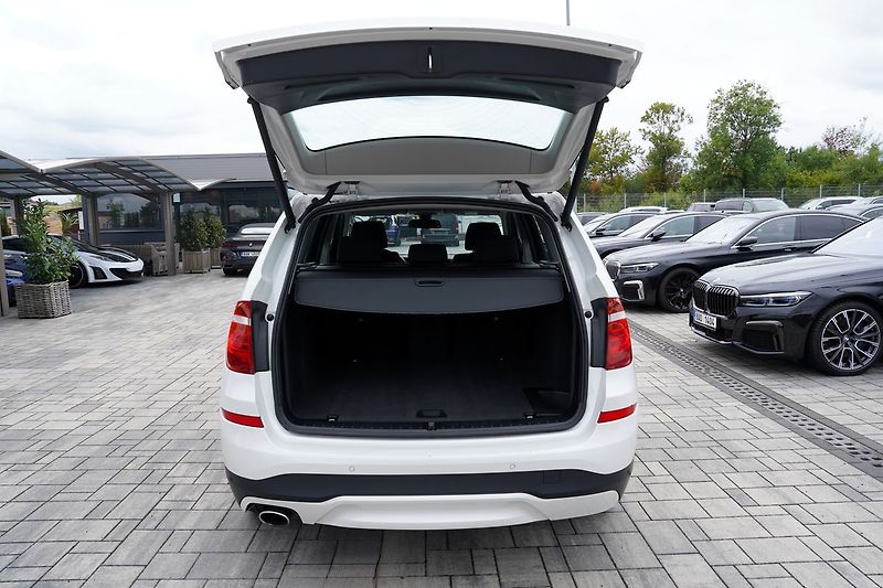BMW X3 2.0d xDrive/manuál/navi/ČR - fotka 11 z 38