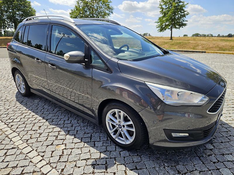 Ford Grand C-MAX (2015) 7 MÍST,HEZKÝ STAV,  SPLÁTKY  - fotka 4 z 27