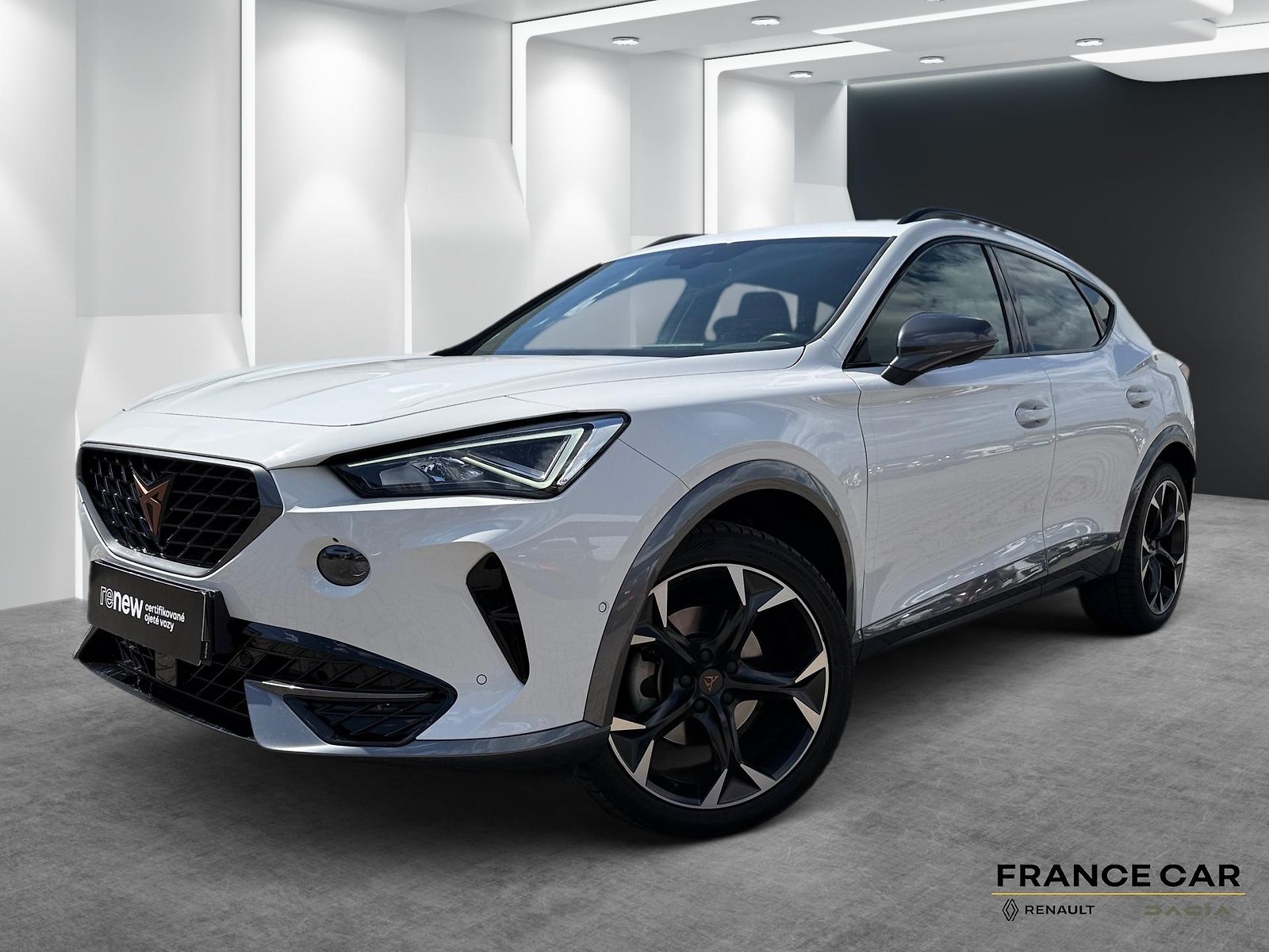 Cupra Formentor 1,5 TSi 110 Kw DSG 