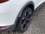 Cupra Formentor (2024) 2,0 TSI 4Drive DSG - náhled 31