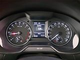 Škoda Octavia (2014) Greenline 1.6 TDI, Serv.kniha - náhled 11