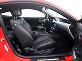 Ford Mustang 5,0 Ti-VCT V8 310kW - náhled 12