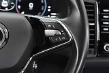 Škoda Kodiaq 2.0 TDI DSG*TAŽNÉ**DPH*ČR 1.M* - náhled 19