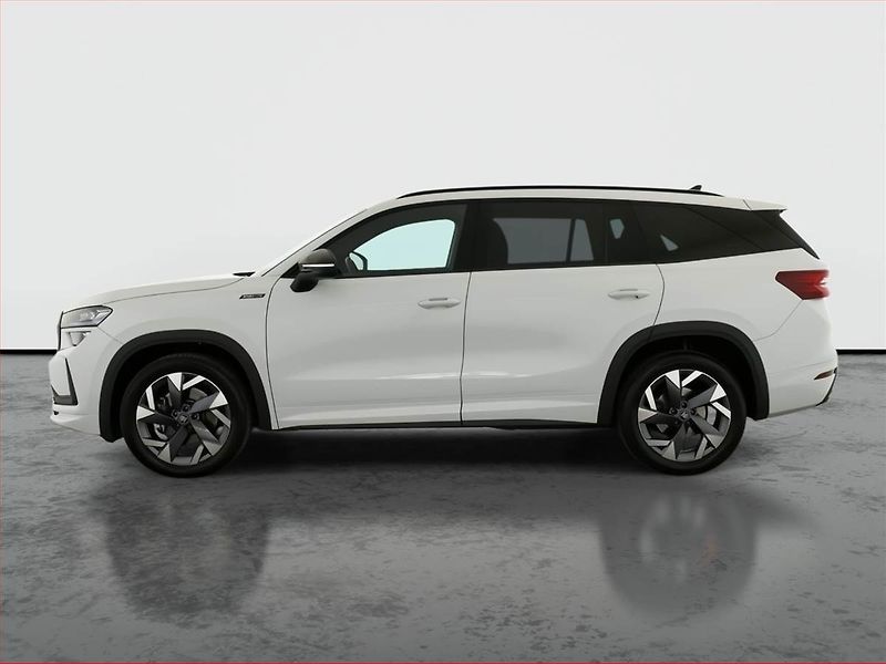 Škoda Kodiaq (2025) 2.0 TDI, 4x4 , Navigace - fotka 3 z 21