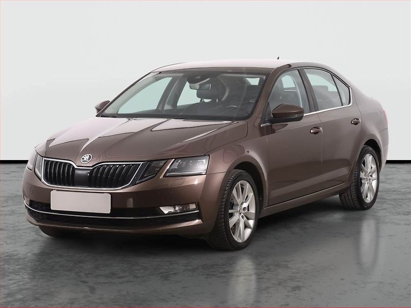 Škoda Octavia (2018) 2.0 TSI, Automat, Kůže, Navi - fotka 2 z 25