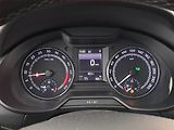 Škoda Octavia (2016) Scout 2.0 TDI, 4X4, Automat - náhled 11