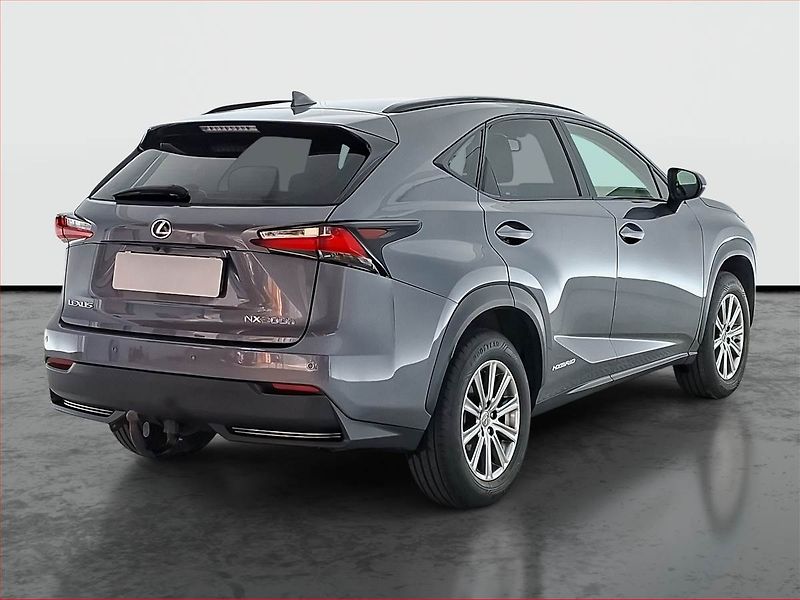 Lexus NX 300h (2015) 300h - fotka 5 z 18