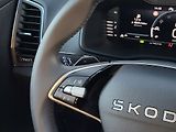 Škoda Karoq Top Selection 1,5TSI 110kW - náhled 14
