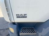 DAF LF (2008) 55.220, Euro 4, Izotherm, čelo - náhled 13