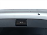 Škoda Scala 1,6 TDi DSG Monte Carlo,DPH,ČR - náhled 20