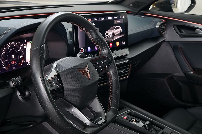 Cupra Formentor 2.0TDI 110kW 4x4 DSG DCC Webas - fotka 15 z 39