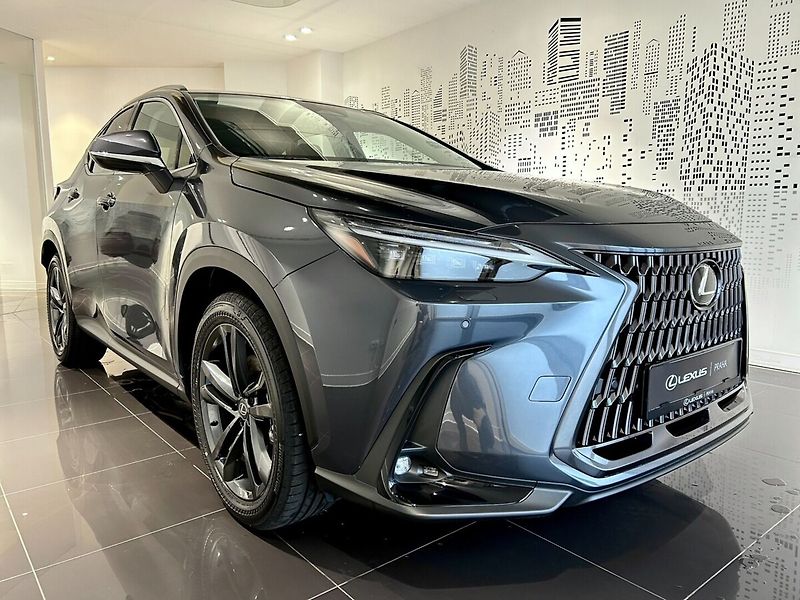Lexus NX 350h 350h 2.5 HEV EXECUTIVE TOP - fotka 6 z 10