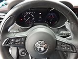 Alfa Romeo Stelvio 2.0 TURBO Q4 ZÁLOHOVÁNO - náhled 13