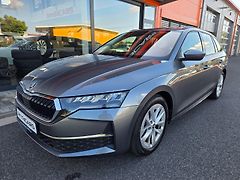 Škoda Octavia (2025) 2.0 TDI ODPOČET DPH - fotografie inzerátu