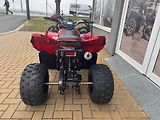 Linhai (2026) ATV 110 - náhled 3