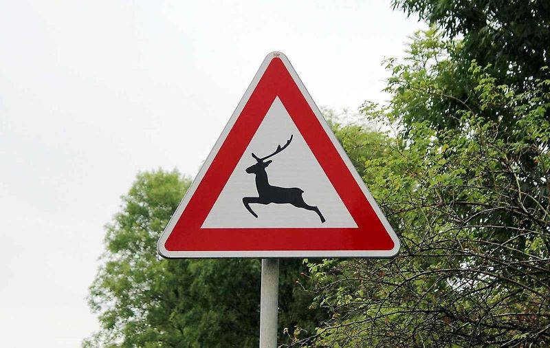 TOP Rock park v Gibraltaru a neobvyklá výstražná značky Hadi s dodatkovou cedulí Slow - zpomal.