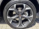 Cupra Formentor 2,0 TSi DSG 4x4 Záruka2029 ČR - náhled 21