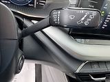 Škoda Octavia 2,0 TDI 85kW DPH 1.maj původČR - náhled 29