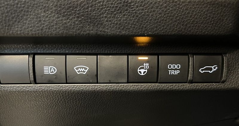 Toyota RAV4 2.5 Hybrid AT SELECTION SKYVIE - fotka 8 z 19