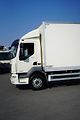 DAF LF (2019) 260 / ACC / EURO 6 / KONTENER  - náhled 29