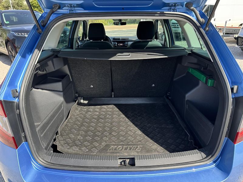 Škoda Fabia (2018) 1.0 TSI 81 KW, Lim. edice 100 - fotka 31 z 37