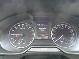 Škoda Octavia 2,0 TDI - náhled 13