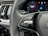 Škoda Kodiaq (2025) 2.0 TDI 142 kW 4x4 DSG Exclusi - náhled 8