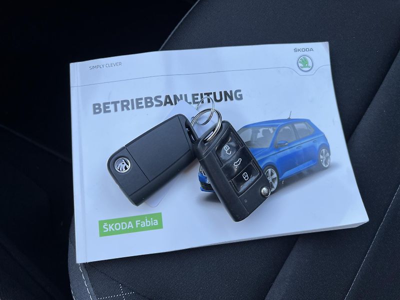 Škoda Fabia 1.2TSi 81kw KLIMA TEMPOMAT ALU - fotka 32 z 40