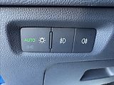 Škoda Octavia 2,0 TDI DPH 1.maj. původ ČR - náhled 23