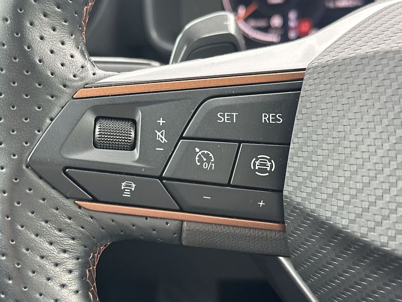 Cupra Formentor (2024) 2.0 TSI 4Drive DSG - fotka 19 z 35