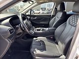 Hyundai Santa Fe 2,2 CRDi Style 4x4 DCT 142kW - náhled 29
