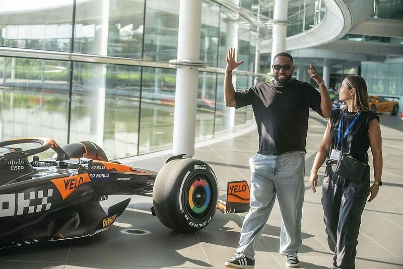 Replika McLarenu P1 v reálné velikosti se skládá z 342 817 dílků, váží přibližně 1220 kilogramů.