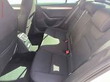 Škoda Octavia (2015) 1.6TDi, ČR, AC, výhřev sed. - náhled 10