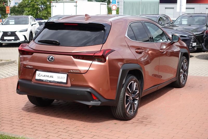 Lexus UX 300h UX300h 2,0 HEV Business Tech - fotka 5 z 34